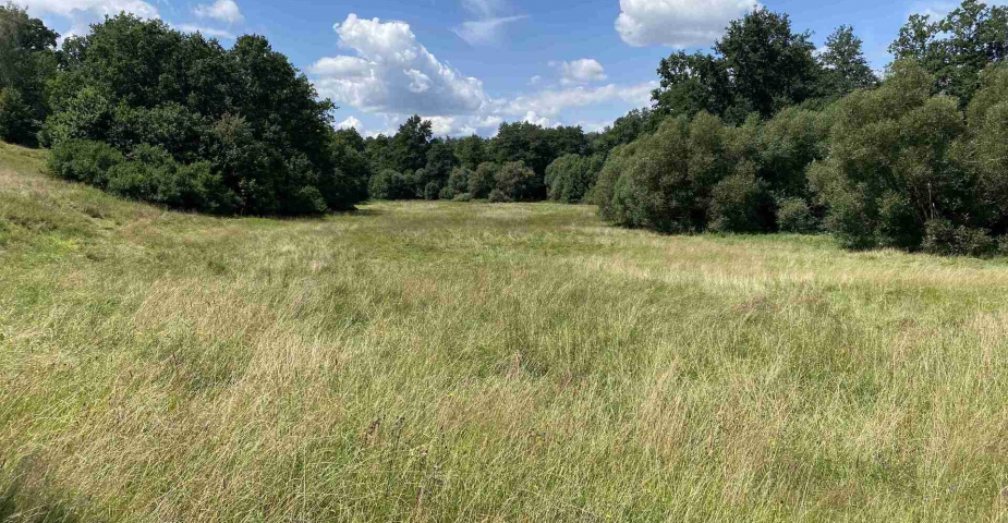 Prodej zemědělských pozemků Hrbov u Lhenic