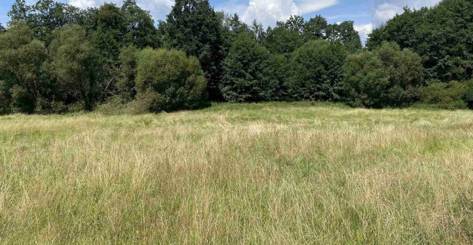 Prodej zemědělských pozemků Hrbov u Lhenic