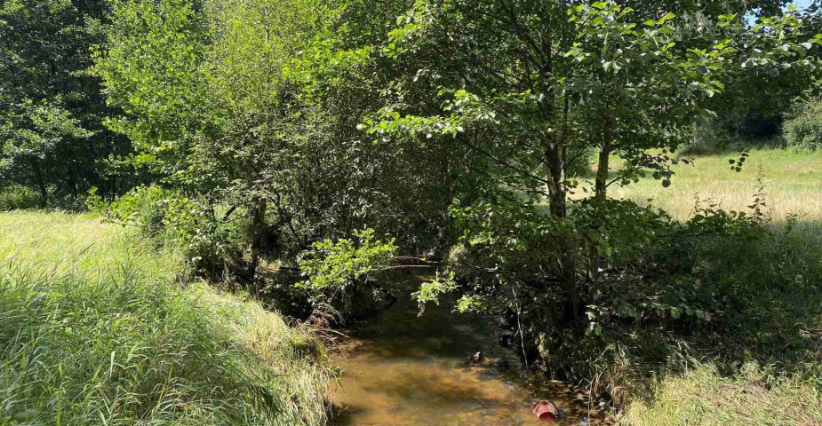 Prodej zemědělských pozemků Hrbov u Lhenic