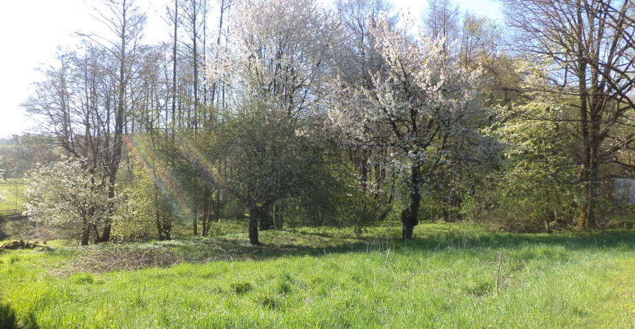 Dražba pozemku Kondrač
