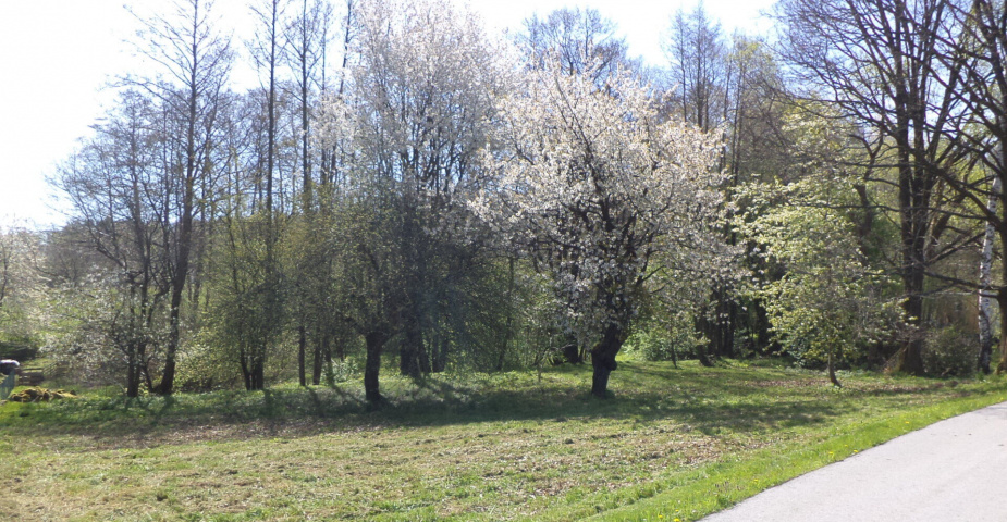 Dražba pozemku Kondrač