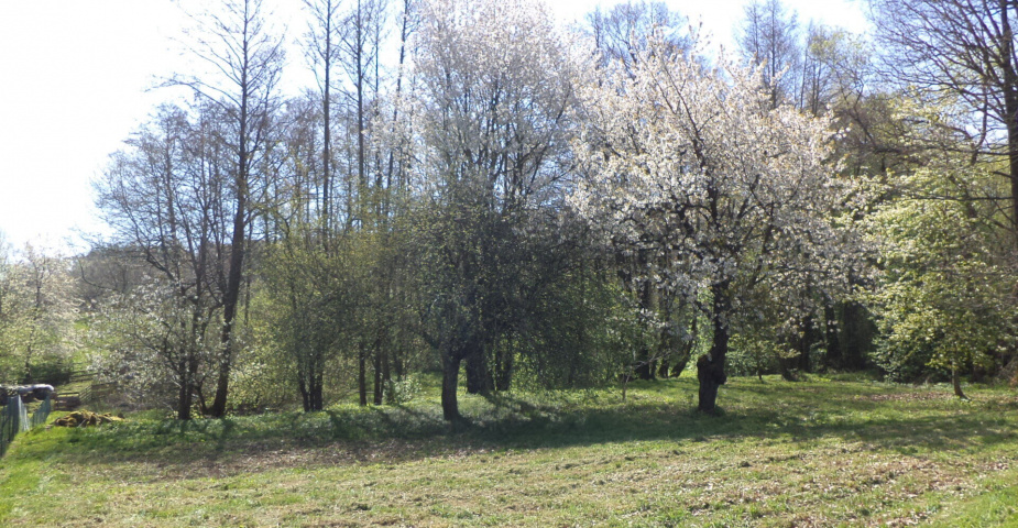 Dražba pozemku Kondrač