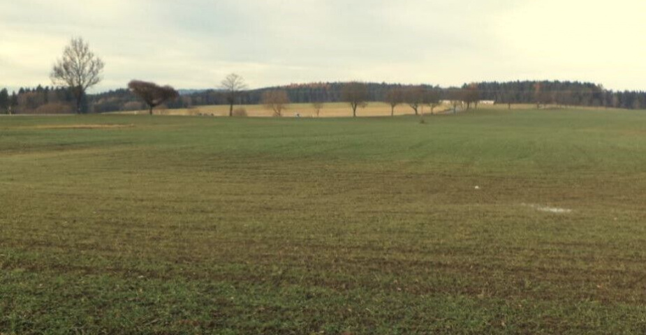 Prodej pozemků Mostky