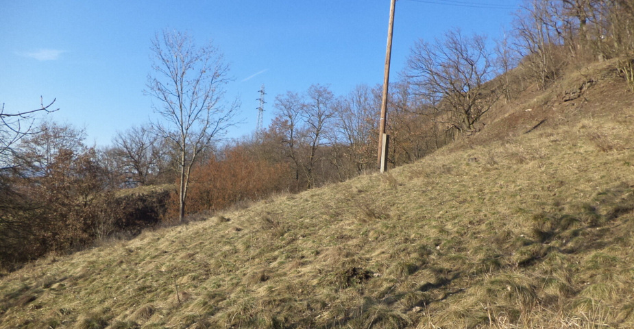 Prodej pozemku Trmice