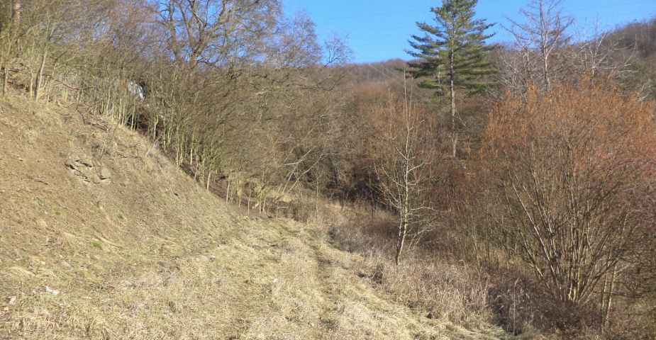 Prodej pozemku Trmice