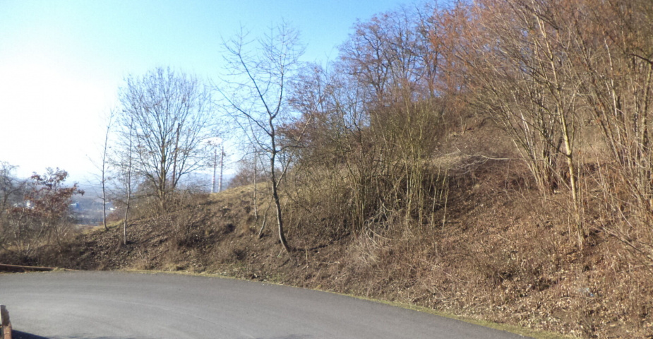 Prodej pozemku Trmice