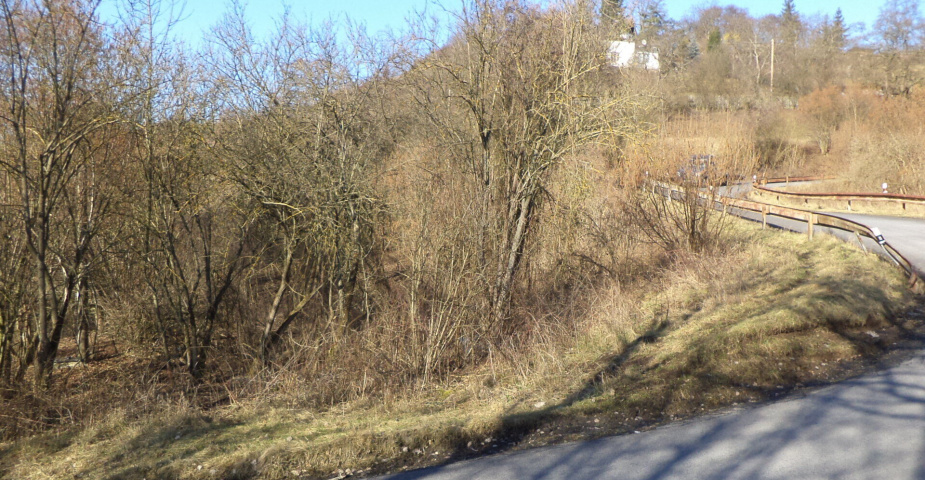 Prodej pozemku Trmice