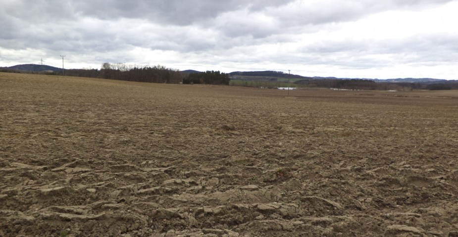 Prodej pozemku Cehnice