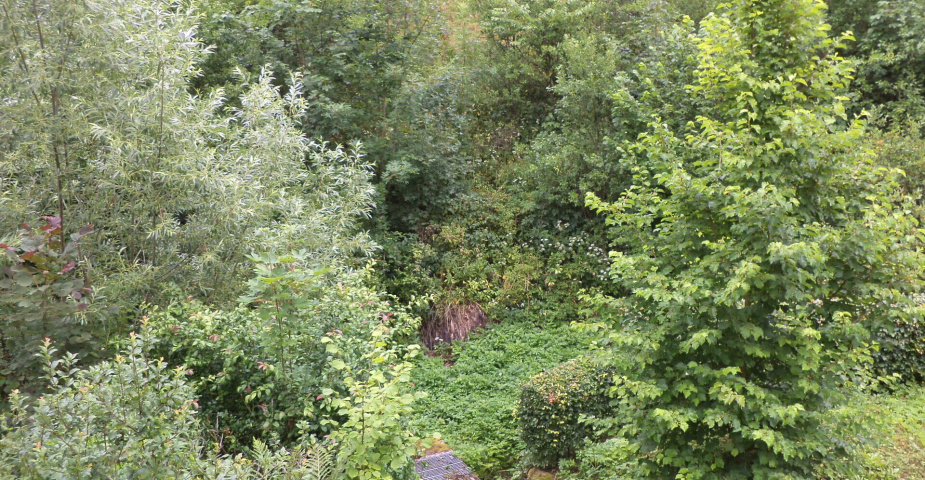 Prodej pozemku Prorubky