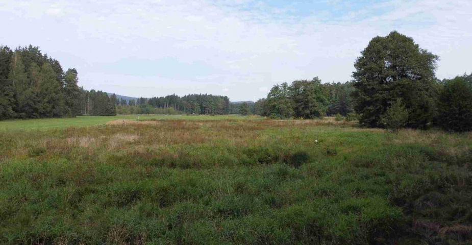 prodej pozemku k.ú. Rozvadov