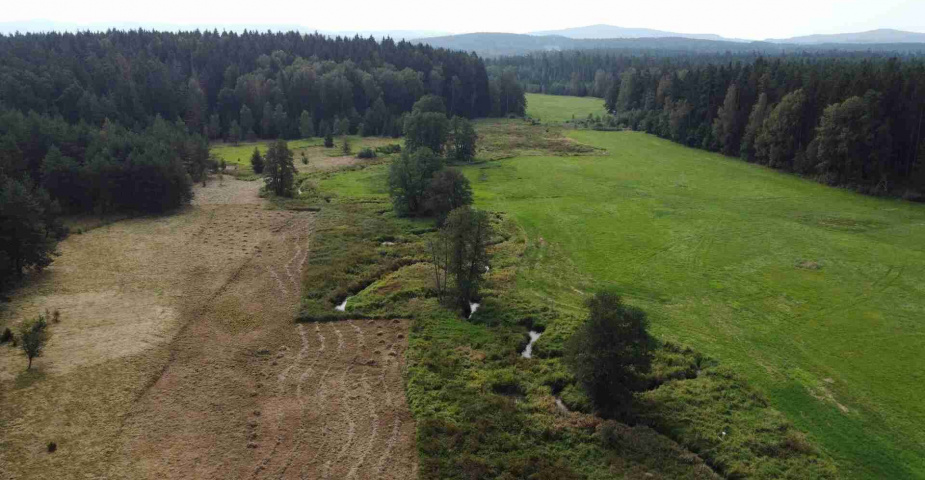 prodej pozemku k.ú. Rozvadov