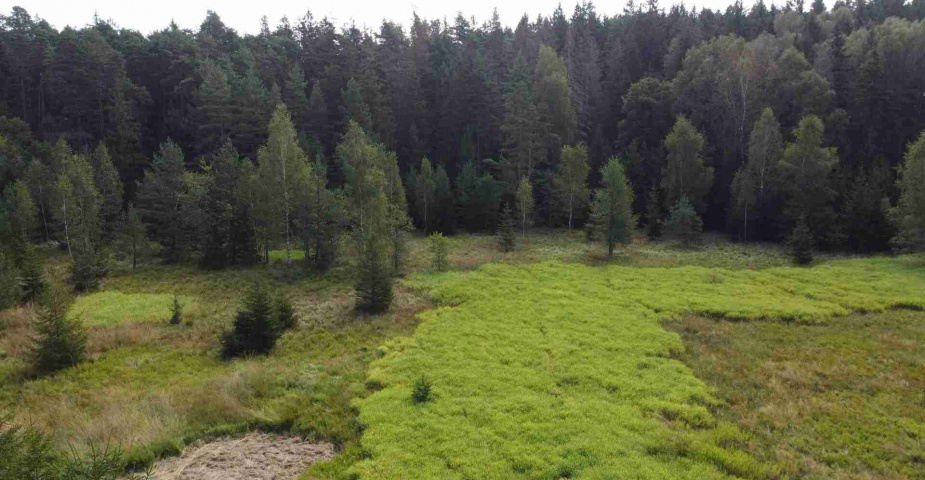 prodej pozemku k.ú. Rozvadov