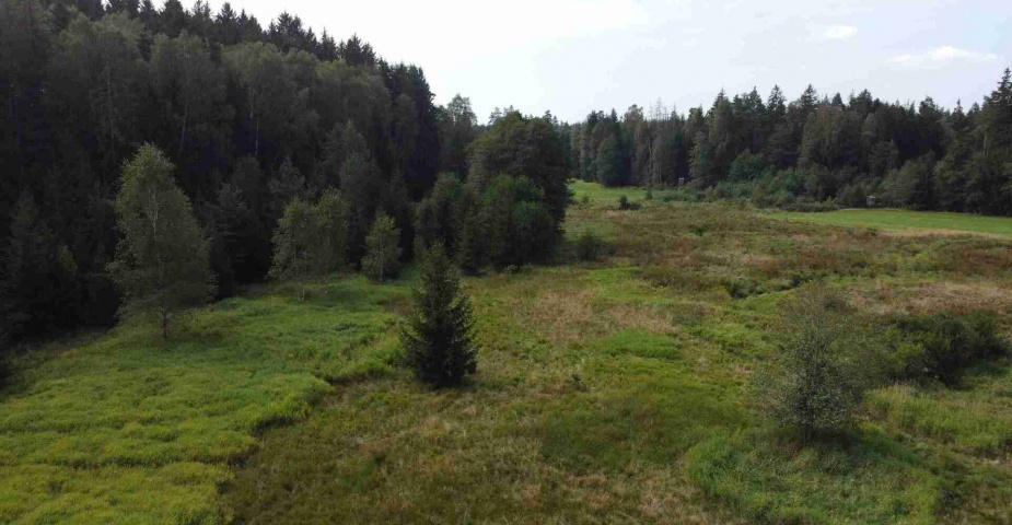 prodej pozemku k.ú. Rozvadov