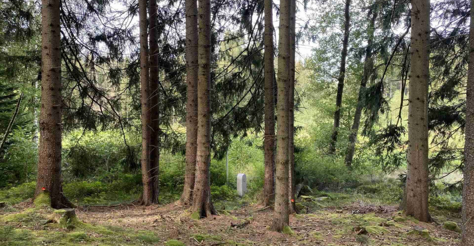 prodej pozemku k.ú. Rozvadov