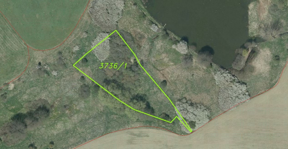 prodej pozemků k.ú. Tachov