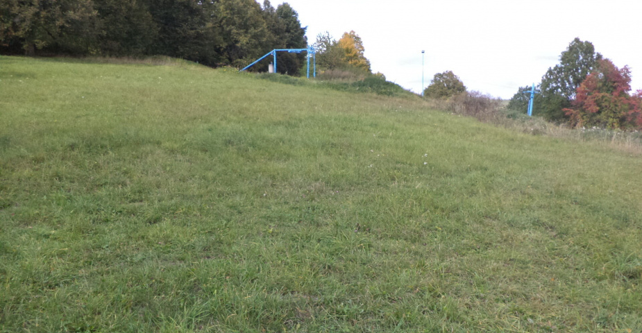 prodej pozemků k.ú. Tachov