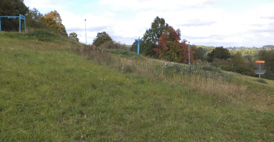 prodej pozemků k.ú. Tachov