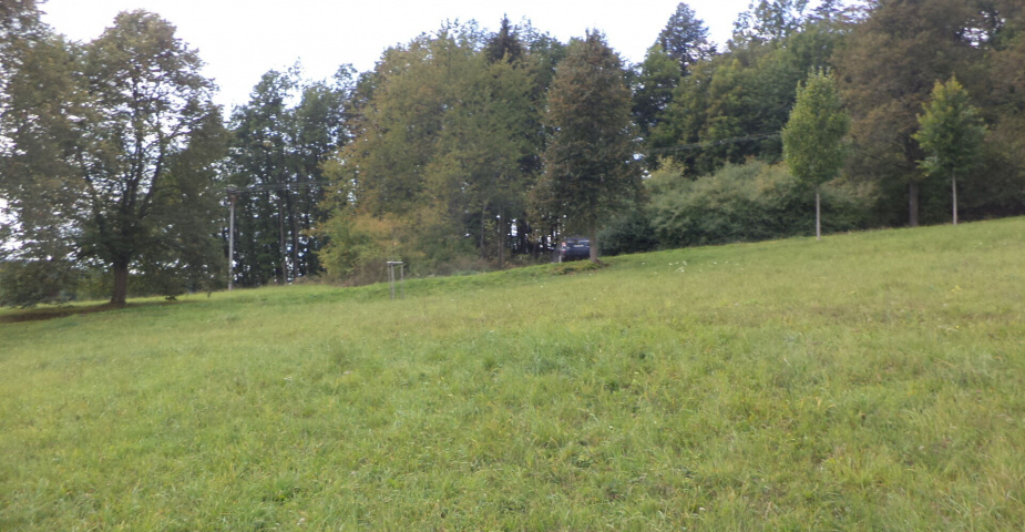 prodej pozemků k.ú. Tachov