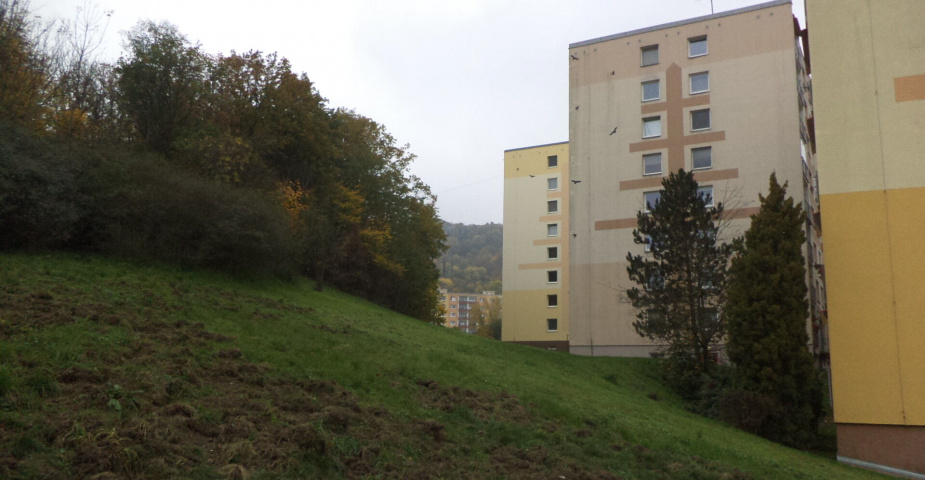 prodej pozemku k.ú. Mojžíř