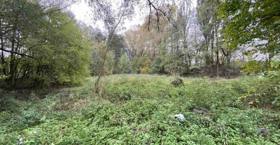 Prodej pozemku Čáslavice