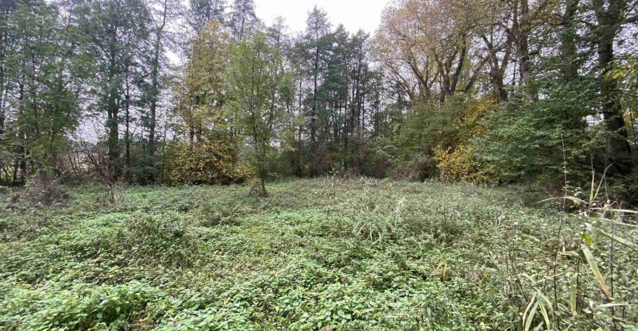 Prodej pozemku Čáslavice