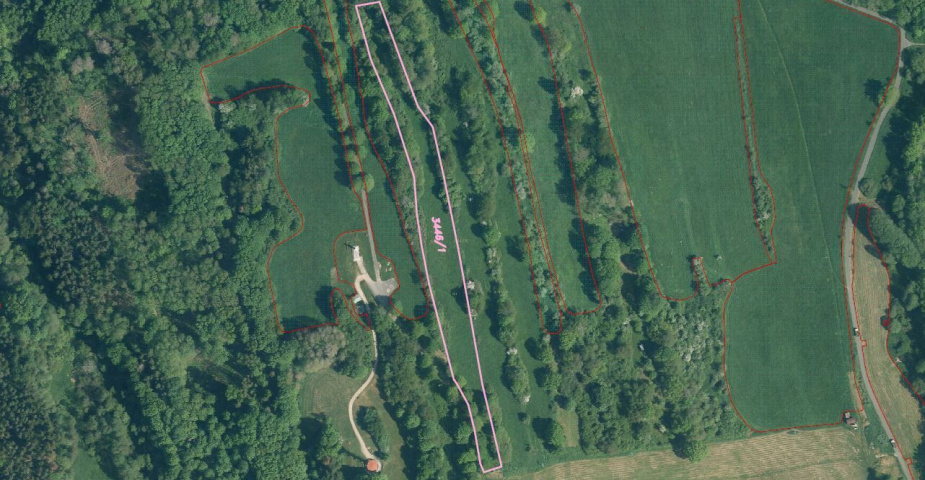 prodej pozemků k.ú. Tachov