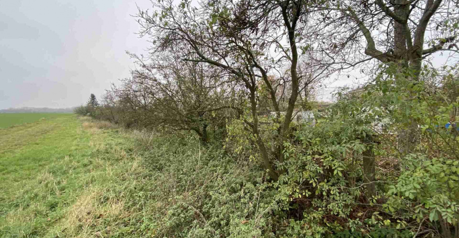 Prodej pozemků Oškobrh, obec Opolany