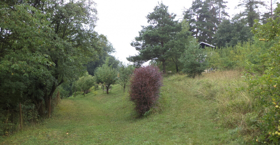 Prodej pozemků Skuteč