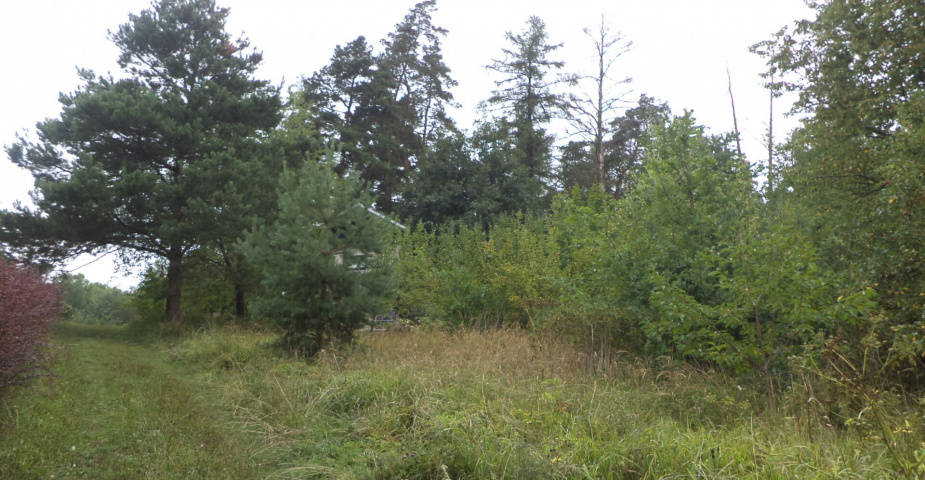 Prodej pozemků Skuteč