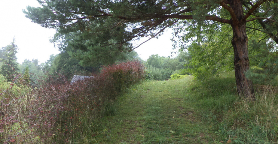 Prodej pozemků Skuteč