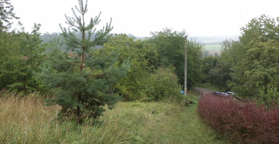 Prodej pozemků Skuteč