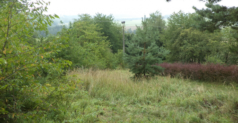 Prodej pozemků Skuteč