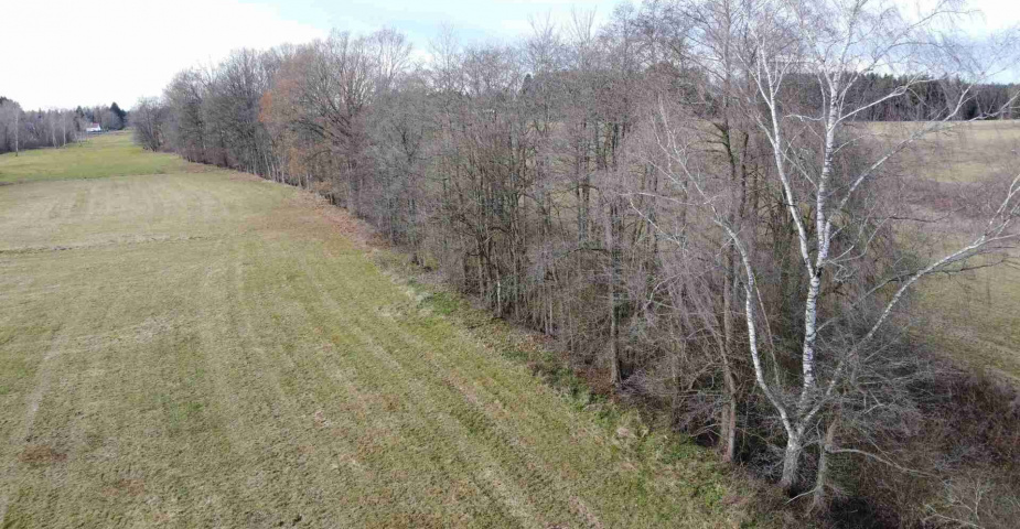 Prodej pozemků Trojany u Dolního Dvořiště