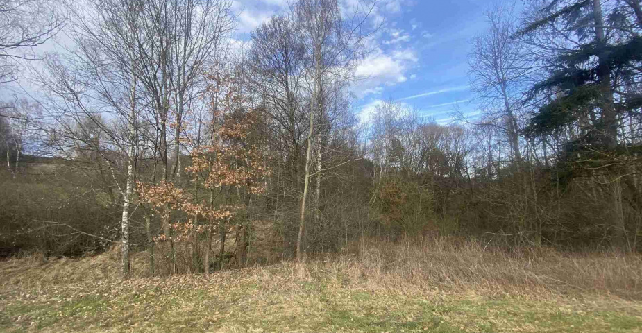 Prodej pozemků Trojany u Dolního Dvořiště
