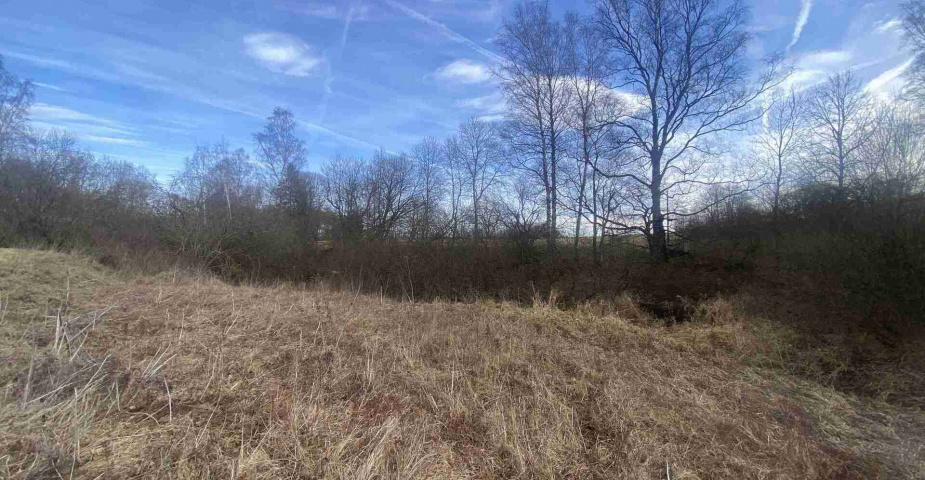 Prodej pozemků Trojany u Dolního Dvořiště