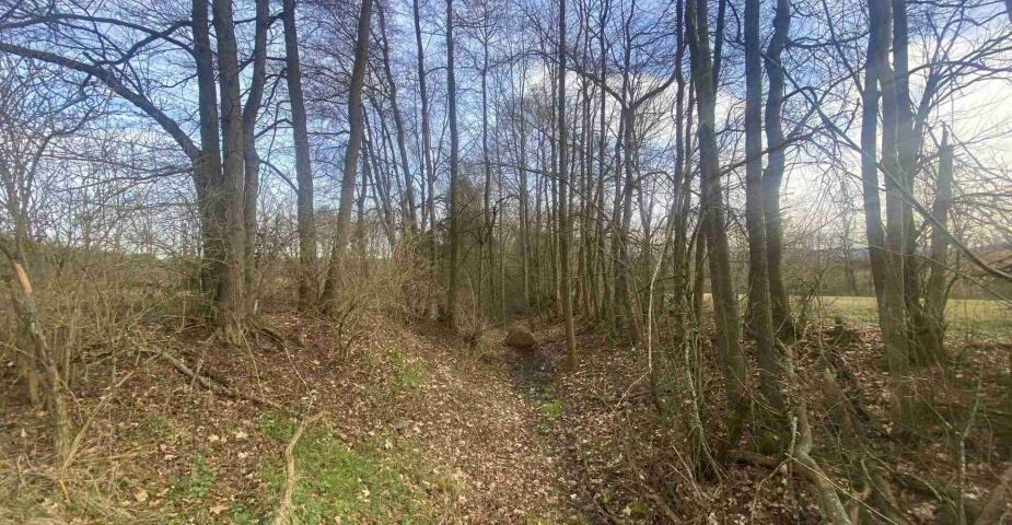 Prodej pozemků Trojany u Dolního Dvořiště