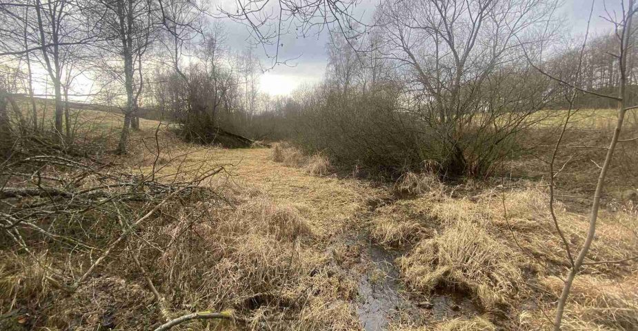 Prodej pozemků Trojany u Dolního Dvořiště