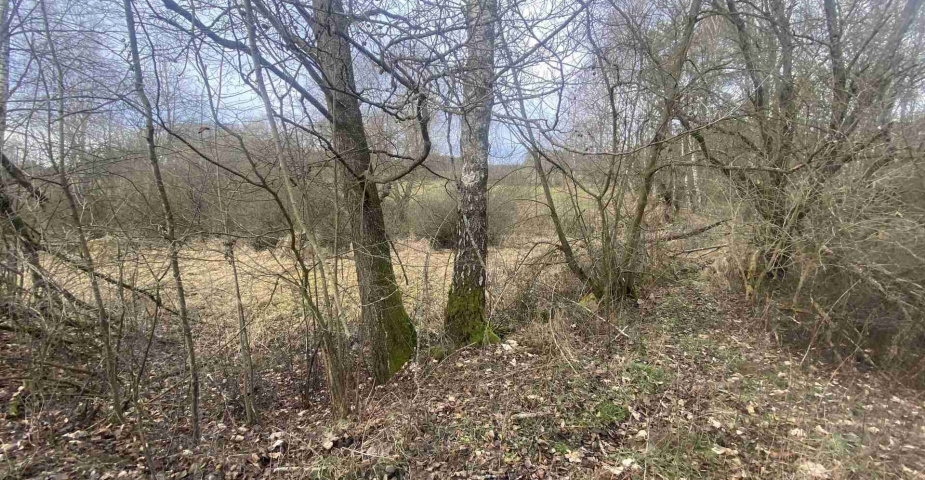 Prodej pozemků Trojany u Dolního Dvořiště