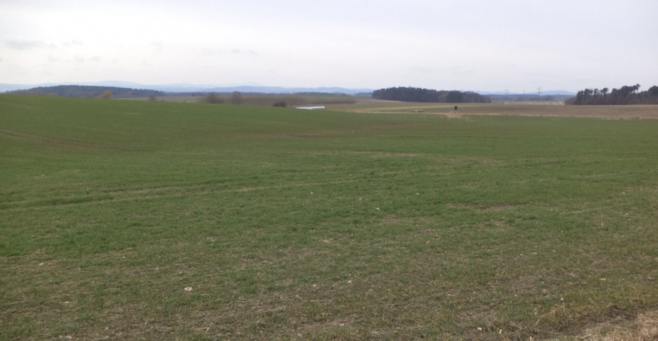 Prodej pozemků Dříteň