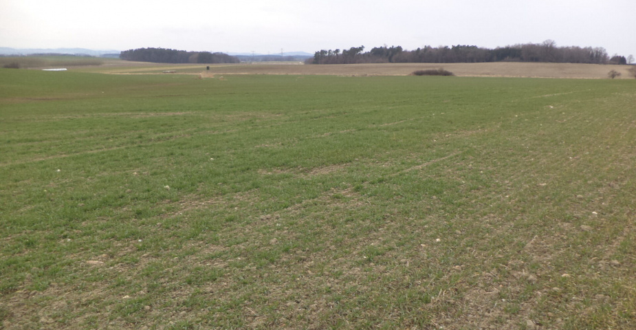 Prodej pozemků Dříteň