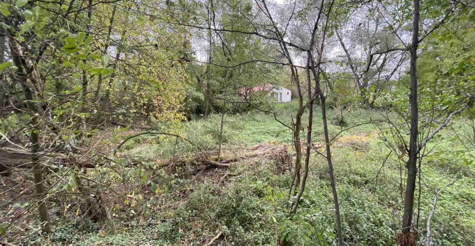 Prodej pozemku Čáslavice