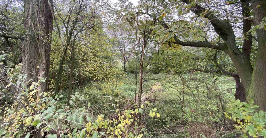 Prodej pozemku Čáslavice