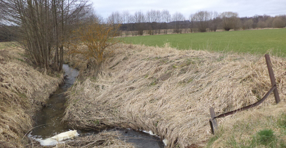 Prodej pozemků Dolní Radouň