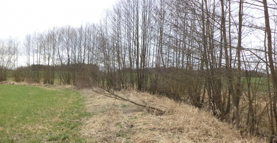 Prodej pozemků Dolní Radouň