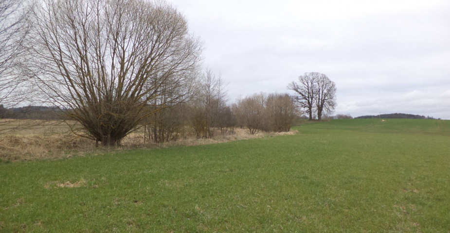 Prodej pozemků Dolní Radouň