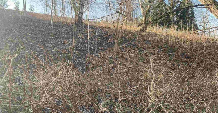 Prodej pozemků Horní Stropnice