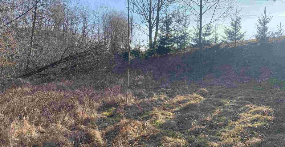 Prodej pozemků Horní Stropnice