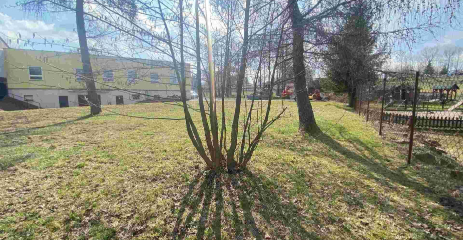 Dražba pozemku Rokytnice v Orlických horách