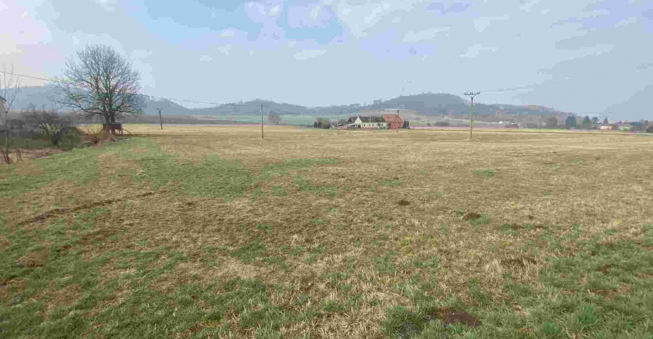 Prodej pozemků Linhartice