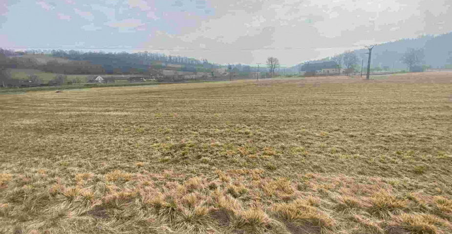 Prodej pozemků Linhartice